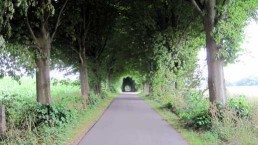 Weg