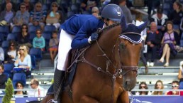 Reitsport